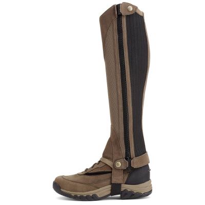 Ariat Terrain II Chap Kahverengi / Gri Half Chaps Erkek (34079-202)